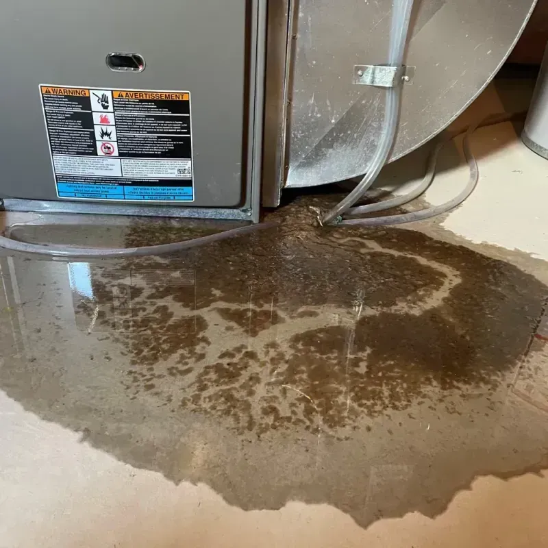 Appliance Leak Cleanup in Garfield County, MT